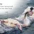 Sea Otters - thumbnail of spread image 1 Thumbnail image of Sea Otters - 1