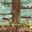 The Magic and Mystery of Trees - thumbnail of spread image 1 Thumbnail image of The Magic and Mystery of Trees - 1