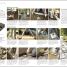 RHS Encyclopedia of Garden Design - thumbnail of spread image 1 Thumbnail image of RHS Encyclopedia of Garden Design - 1
