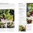 RHS How to Grow Practically Everything - thumbnail of spread image 2 Thumbnail image of RHS How to Grow Practically Everything - 2