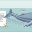 The Sea Book - thumbnail of spread image 1 Thumbnail image of The Sea Book - 1