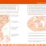 DK Workbooks: Geography, Fifth Grade - thumbnail of spread image 1 Thumbnail image of DK Workbooks: Geography, Fifth Grade - 1