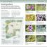 RSPB Pocket Garden Birdwatch - thumbnail of spread image 1 Thumbnail image of RSPB Pocket Garden Birdwatch - 1
