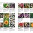 RHS What Plant Where Encyclopedia - thumbnail of spread image 1 Thumbnail image of RHS What Plant Where Encyclopedia - 1