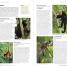 DK Eyewitness Travel Guide Costa Rica - thumbnail of spread image 1 Thumbnail image of DK Eyewitness Travel Guide Costa Rica - 1