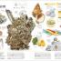 The Elements Book - thumbnail of spread image 1 Thumbnail image of The Elements Book - 1