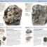 Nature Guide Rocks and Minerals - thumbnail of spread image 2 Thumbnail image of Nature Guide Rocks and Minerals - 2