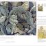 Flora - thumbnail of spread image 1 Thumbnail image of Flora - 1