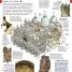 Venice Pocket Map and Guide - thumbnail of spread image 1 Thumbnail image of Venice Pocket Map and Guide - 1