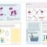 Boost Your Brain - thumbnail of spread image 3 Thumbnail image of Boost Your Brain - 3