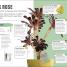 Happy Cactus - thumbnail of spread image 1 Thumbnail image of Happy Cactus - 1