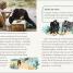 DK Life Stories Jane Goodall - thumbnail of spread image 2 Thumbnail image of DK Life Stories Jane Goodall - 2