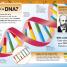 The DNA Book - thumbnail of spread image 2 Thumbnail image of The DNA Book - 2