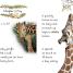 DK Readers L2: Wild Baby Animals - thumbnail of spread image 1 Thumbnail image of DK Readers L2: Wild Baby Animals - 1