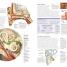 The Human Body Book - thumbnail of spread image 3 Thumbnail image of The Human Body Book - 3