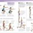 BMA Sports Injuries: A Practical Guide to Recognizing, Treating, and Preventing Injury - thumbnail of spread image 2 Thumbnail image of BMA Sports Injuries: A Practical Guide to Recognizing, Treating, and Preventing Injury - 2