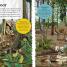 DKfindout! Forest - thumbnail of spread image 1 Thumbnail image of DKfindout! Forest - 1