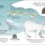 The Sea Book - thumbnail of spread image 2 Thumbnail image of The Sea Book - 2