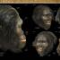 Evolution The Human Story - thumbnail of spread image 2 Thumbnail image of Evolution The Human Story - 2