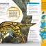 DKfindout! Dinosaurs - thumbnail of spread image 1 Thumbnail image of DKfindout! Dinosaurs - 1