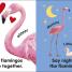 Baby Touch and Feel Flamingo - thumbnail of spread image 1 Thumbnail image of Baby Touch and Feel Flamingo - 1