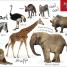 My First Animals Let's Squeak and Squawk - thumbnail of spread image 1 Thumbnail image of My First Animals Let's Squeak and Squawk - 1