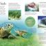 Ocean: A Visual Encyclopedia - thumbnail of spread image 1 Thumbnail image of Ocean: A Visual Encyclopedia - 1