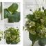 Flower Arranging - thumbnail of spread image 1 Thumbnail image of Flower Arranging - 1