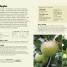 Allotment Through the Year - thumbnail of spread image 3 Thumbnail image of Allotment Through the Year - 3