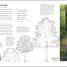 How to Create Your Garden - thumbnail of spread image 2 Thumbnail image of How to Create Your Garden - 2
