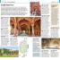 Top 10 Delhi - thumbnail of spread image 2 Thumbnail image of Top 10 Delhi - 2