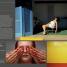 Photography - thumbnail of spread image 1 Thumbnail image of Photography - 1