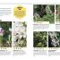 The Bee Book - thumbnail of spread image 1 Thumbnail image of The Bee Book - 1