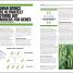 The Ecology Book - thumbnail of spread image 5 Thumbnail image of The Ecology Book - 5