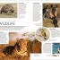 DK Eyewitness Travel Guide South Africa - thumbnail of spread image 4 Thumbnail image of DK Eyewitness Travel Guide South Africa - 4