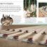 DK Eyewitness Books The Amazon - thumbnail of spread image 1 Thumbnail image of DK Eyewitness Books The Amazon - 1