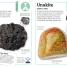 My Book of Rocks and Minerals - thumbnail of spread image 3 Thumbnail image of My Book of Rocks and Minerals - 3