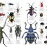 Natural History - thumbnail of spread image 1 Thumbnail image of Natural History - 1