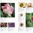 Pests and Diseases - thumbnail of spread image 2 Thumbnail image of Pests and Diseases - 2
