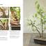 Bonsai - thumbnail of spread image 2 Thumbnail image of Bonsai - 2