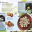 Eyewitness Explorer: Bug Hunter - thumbnail of spread image 1 Thumbnail image of Eyewitness Explorer: Bug Hunter - 1
