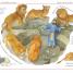 A First Bible Story Book and A First Book of Prayers - thumbnail of spread image 1 Thumbnail image of A First Bible Story Book and A First Book of Prayers - 1
