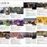 DK Eyewitness Barcelona and Catalonia - thumbnail of spread image 4 Thumbnail image of DK Eyewitness Barcelona and Catalonia - 4