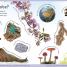 First Earth Encyclopedia - thumbnail of spread image 1 Thumbnail image of First Earth Encyclopedia - 1