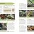 RHS Fruit & Veg Box - thumbnail of spread image 1 Thumbnail image of RHS Fruit & Veg Box - 1