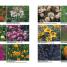 RHS Gardening Through The Year - thumbnail of spread image 1 Thumbnail image of RHS Gardening Through The Year - 1