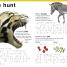 DK Braille: Animals - thumbnail of spread image 1 Thumbnail image of DK Braille: Animals - 1