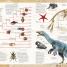 Prehistoric Life - thumbnail of spread image 3 Thumbnail image of Prehistoric Life - 3