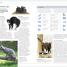The Cat Encyclopedia - thumbnail of spread image 2 Thumbnail image of The Cat Encyclopedia - 2