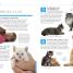 101 Essential Tips: Cat Care - thumbnail of spread image 2 Thumbnail image of 101 Essential Tips: Cat Care - 2
